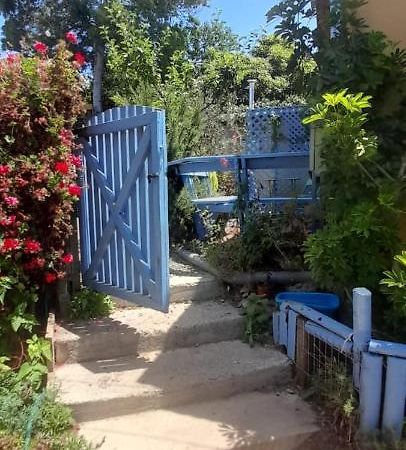 Cabanas Aire Marino Алгаробо Екстериор снимка