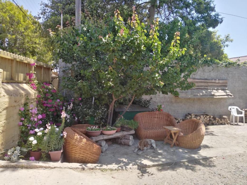 Cabanas Aire Marino Алгаробо Екстериор снимка